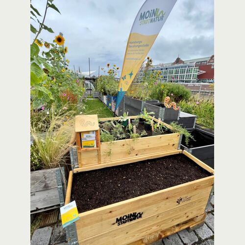 Der MOIN STADTNATUR Schaugarten im Oberhafengarten_Foto Christine Stecker